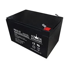 Power Kingdom High-quality cyclon sealed rechargeable battery Supply solor system-16