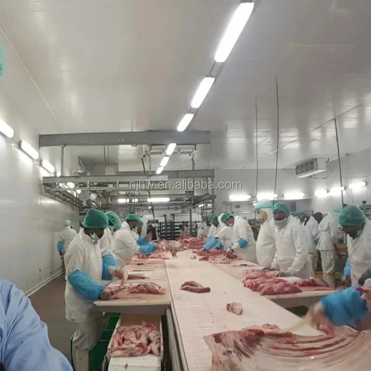 Meat Cutting Room - Efficient Conveyors for Pork Handling