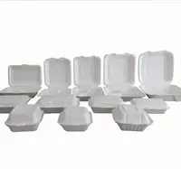 

Biodegradable Disposable Sugarcane Bagasse Food Container