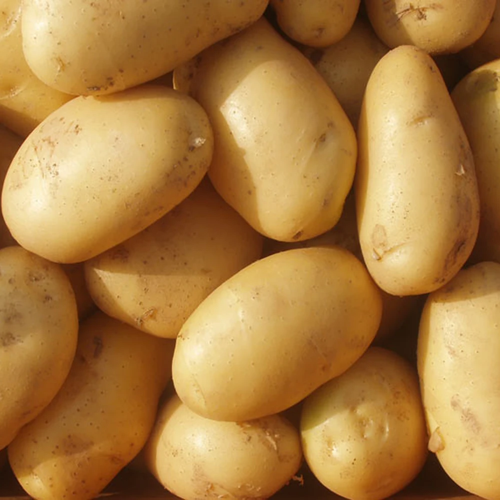 пресни картофи Пакистан пресни картофи Франция
