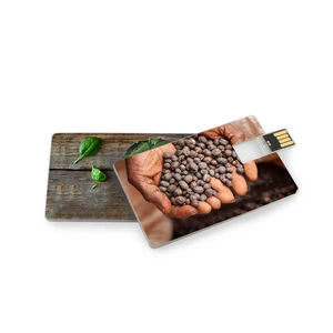 Credit Card USB Flash Drive