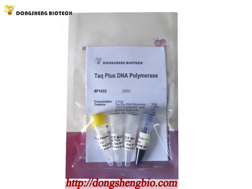 P1032 Taq plus DNA Ploymerase.jpg