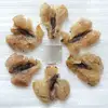 tian ji you herb medicine SNOW FROG FAT