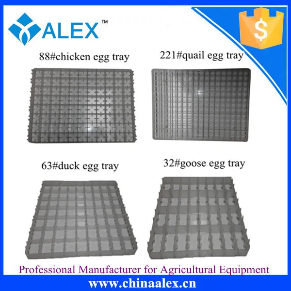 poultry egg trays.jpg