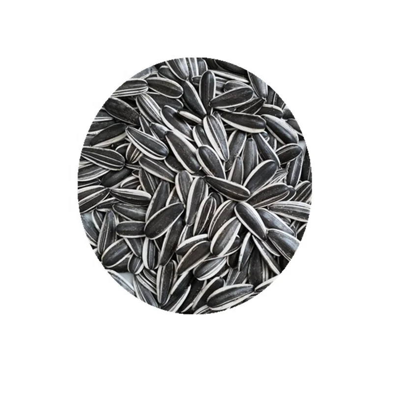 
Chinese factory supply top grade quality seeds sunflower 601 