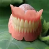 Denture acrylic full denture upper and lower jaw