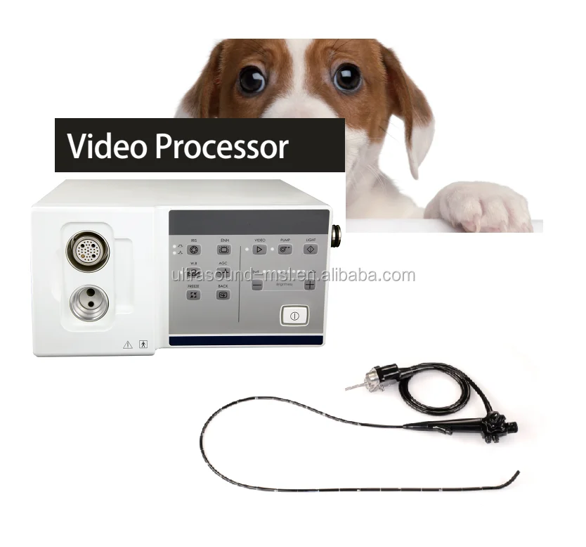 Best Vet Endoscopy Processor Dog Cat Endoscope System For Veterinary Hospital Buy Vet Endoscopy Processor Dog Cat Endoscope System Ebdoscope For Pets Product On Alibaba Com