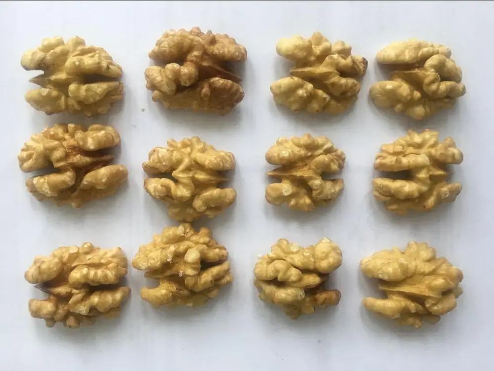light walnut kernel.jpg