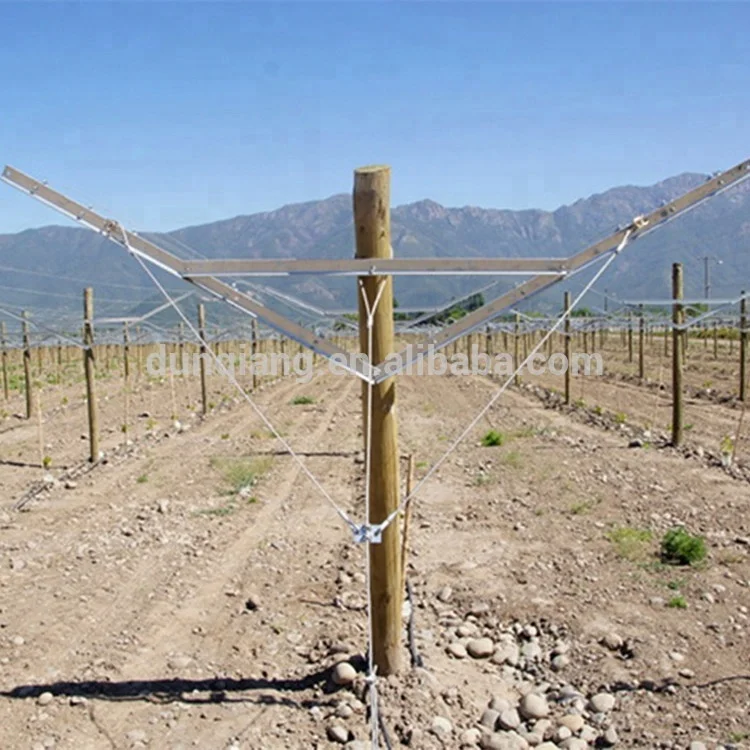 Steel Vineyard Metal Trellis Post For Sale Buy Vineyard Metal Trellis