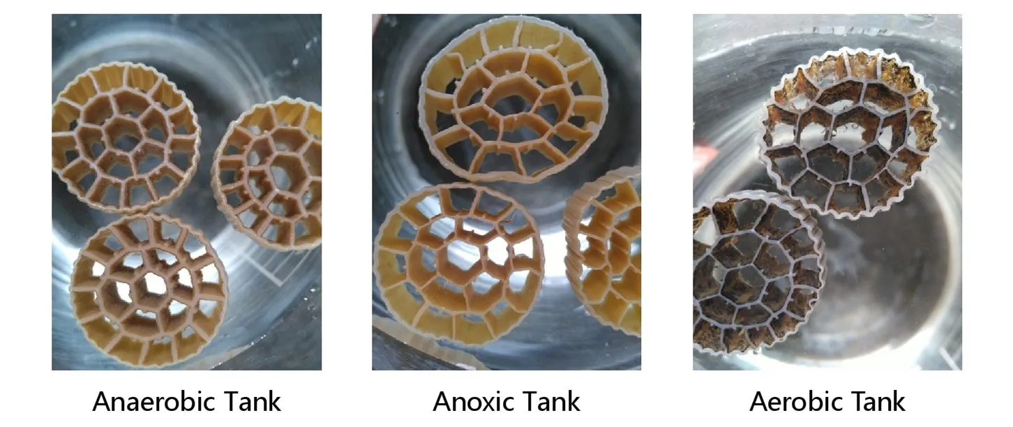 premium grade nano bubble diffuser for mbbr aeration