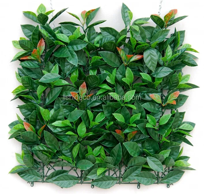 hedge (2).jpg