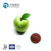 apple extract procyanidin b2