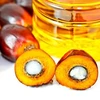 palm oil press machine production line