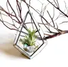 Transparent glass greenhouse plant flower vase fleshy diamond geometry micro landscape handmade copper vase Transparent