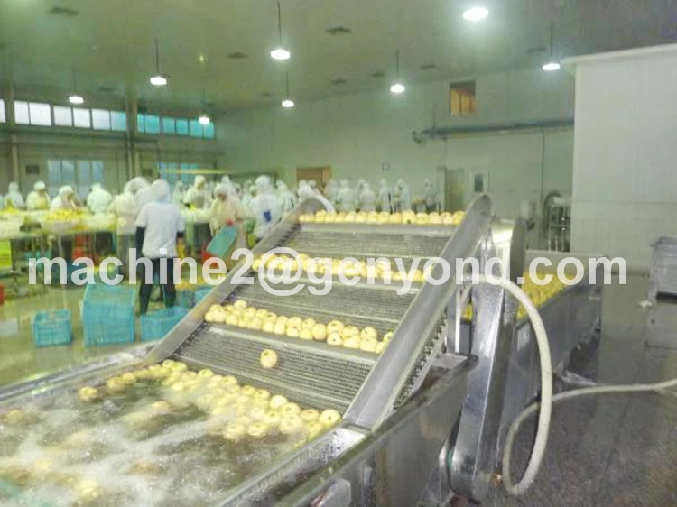 Canned Fruits Procduction Line Of Factory Price Buy Canned Fruit