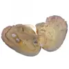 Wholesale Freshwater Cultured Love Wish Pearl Oyster Shell Shell different size for choice 491975