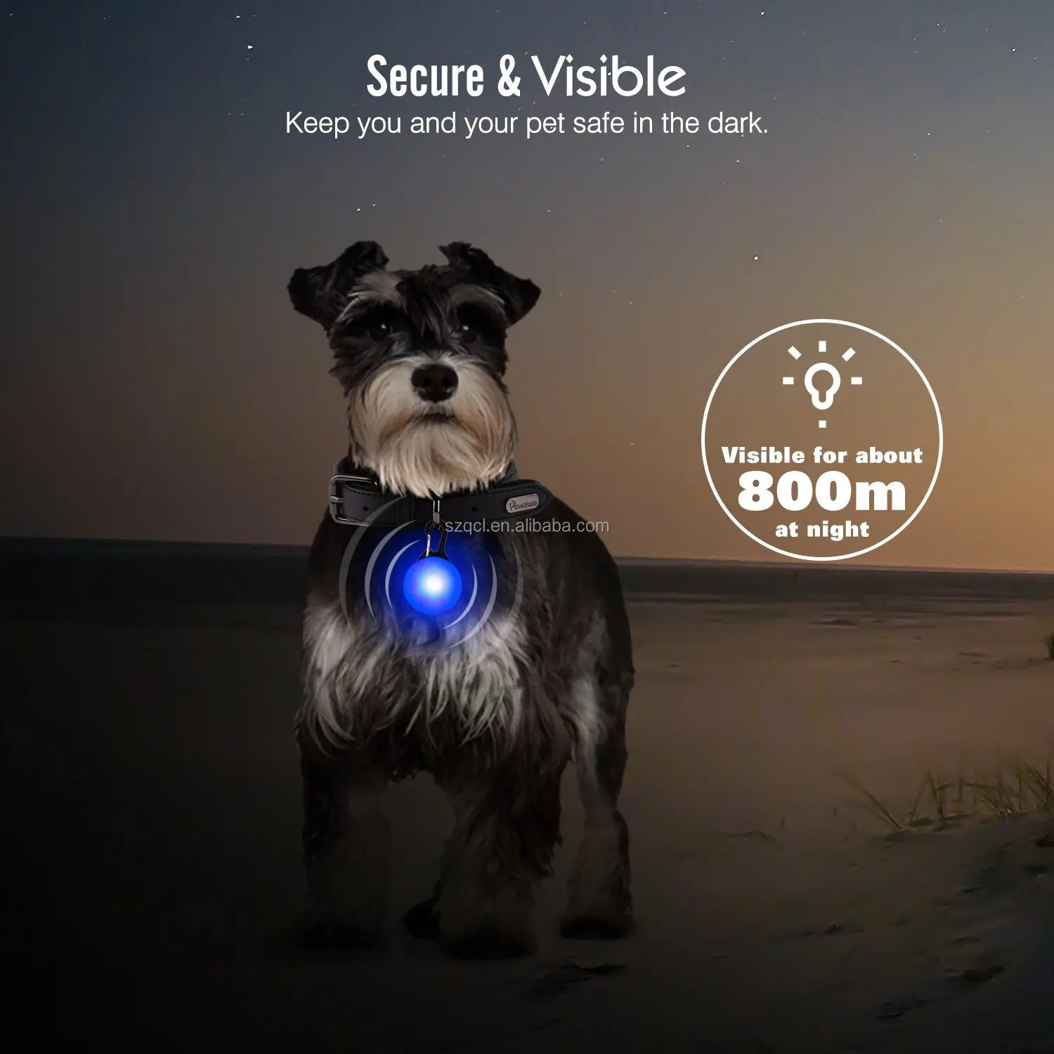 LED Pet Pendant (24).jpg