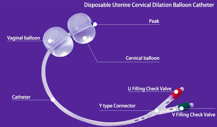 Disposable Double Balloon Foley Catheter Buy Double Balloon Foley