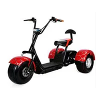 

electric 3 wheel Electric Scooter city coco 800w 1000w seev citycoco 2000w electric scooter with fat bike tire for adult