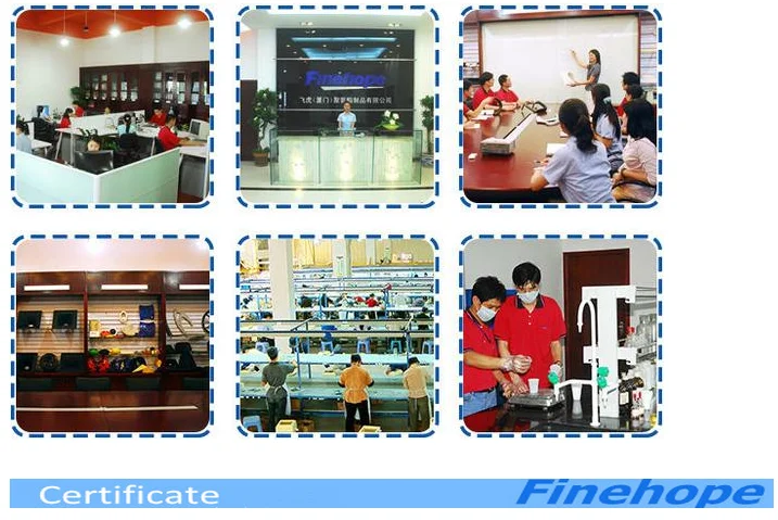 paste-pic-dp_uuid_dbn3g