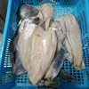 Top Quality Good Price Frozen New Zealand Hoki Portion in Hoki