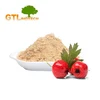 Hot Sale Organic Hawthorn Berry Fruit Powder in Bulk