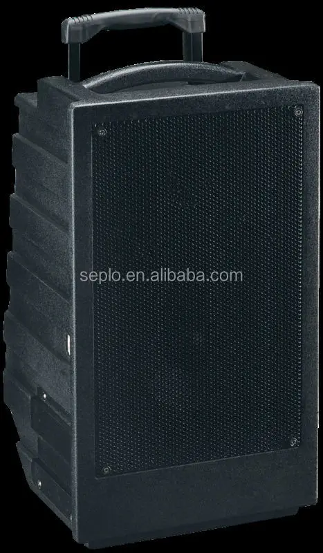 portable amplifier with wireless microphone