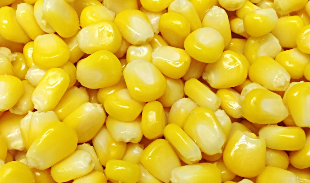 Beku sayuran kuning jagung manis-Sayuran beku-ID produk 