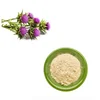 Cosmetic Use Organic Milk Thistle Extract 80% Silymarin Powder