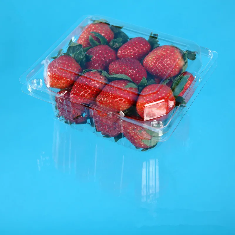 Transparent Pet Plastic Strawberry Packaging Container Disposable Clear