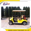 Hot Sale 2 Seat Electric Golf Cart with CE