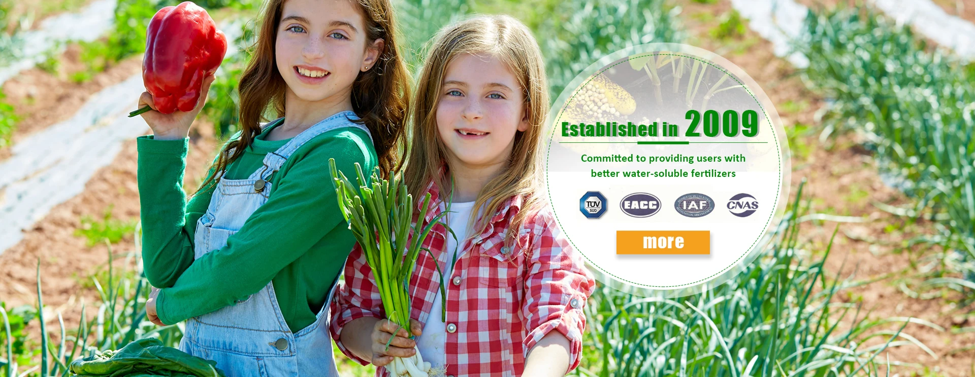 China Manufacturer KH2PO4 High Quality Monopotassium Phosphate MKP Min99% purity MKP 0-52-34 fertilizer