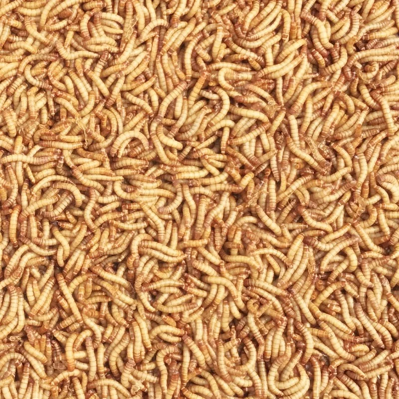
Cattle Food Dried Mealworm Animal Feed Additive 