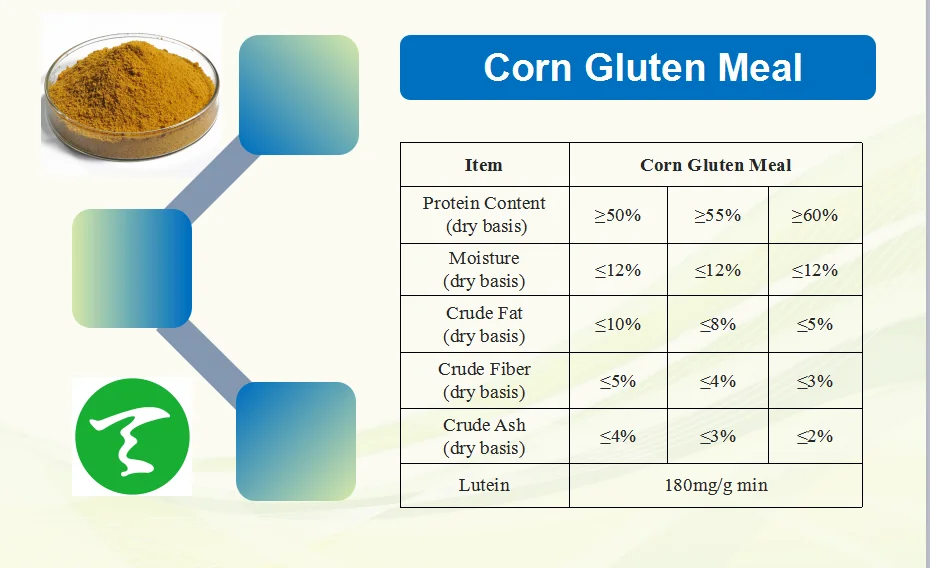 Nongmo Corn Gluten Meal Buy Corn Gluten Meal,Plant Protein Corn