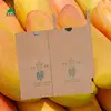 Fruit Mango Paper Packing Protection Cover Bag