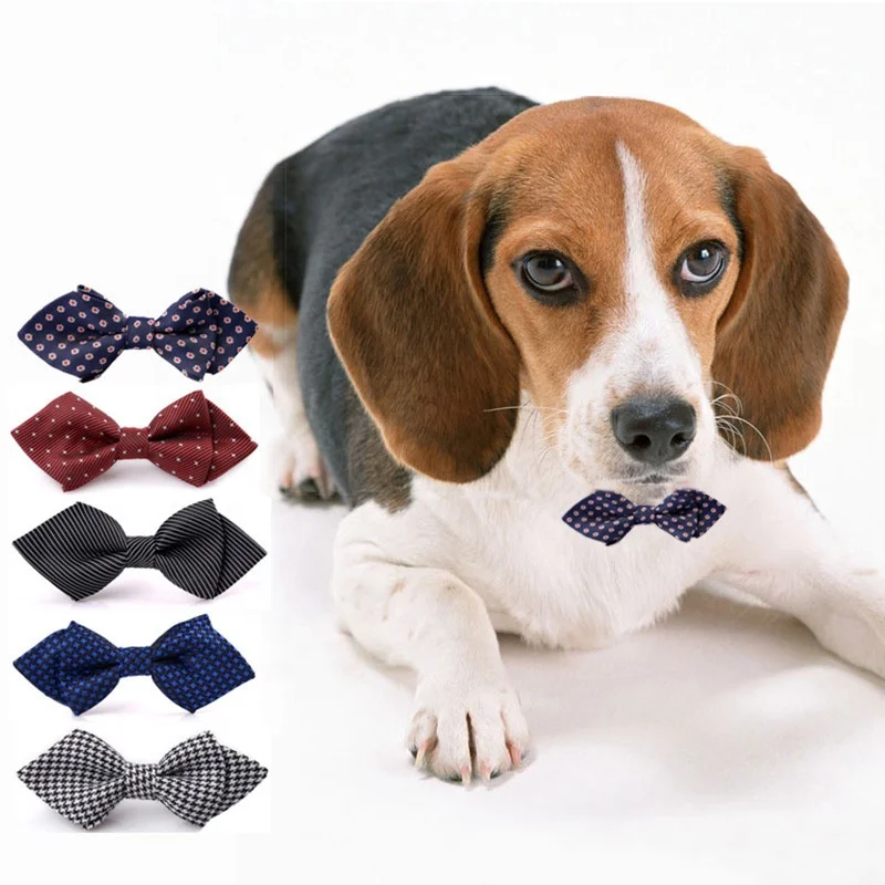 

PPC-107 Pet Supplies Fashion Pointed Color Bow Tie Collar