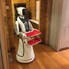 Csjbot Humanoid Robot Intelligent Artificial Intelligence
