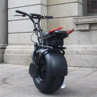 

1000W Big Single Fat 18inch Tire Electric unicycle one wheel self balancing scooter for sale