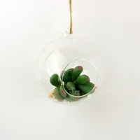 

Clear Hanging Glass Globe Ball Vase Air Plant and Succulent Terrarium With Flat Bottom For Home and Garden Decoration