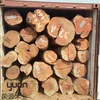 West Africa Gabon Bubinga large timber