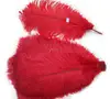 18-20inch dyed pattern artificial ostrich feather