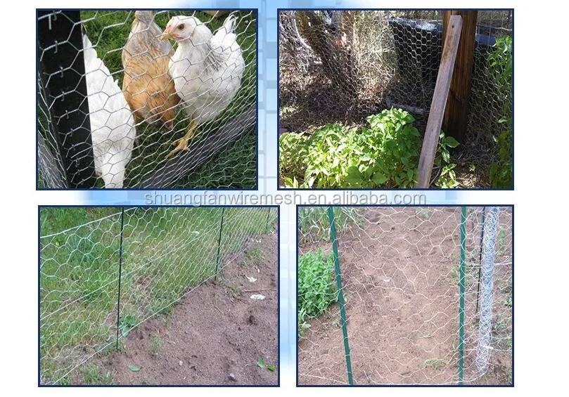 Hexagonal Wire Mesh Chicken Wire Price Per Meter Chicken Wire Mesh