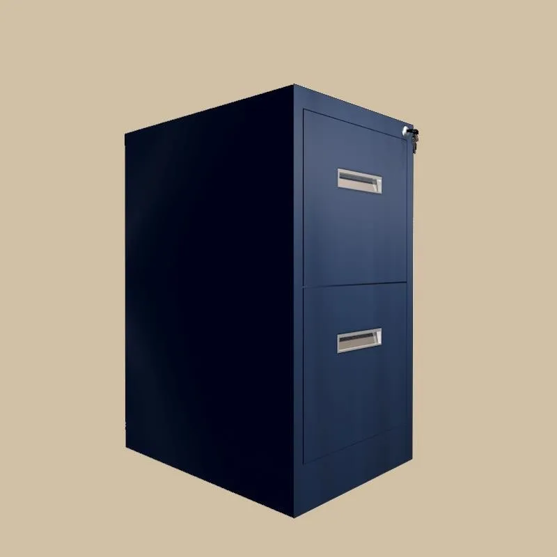 Wholesale Cheap 2 Drawer Filing Medical File Storage Buy File