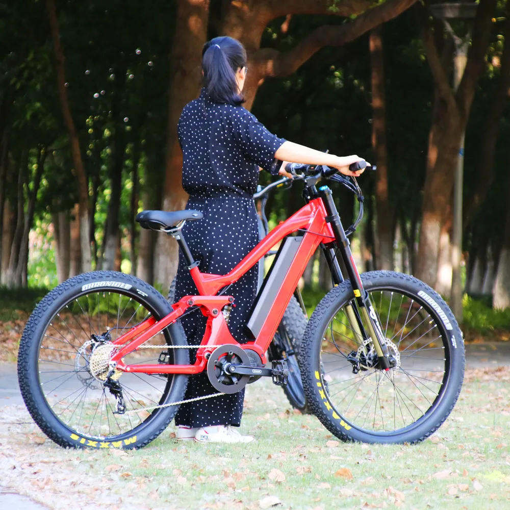 bafang 1000w ebike