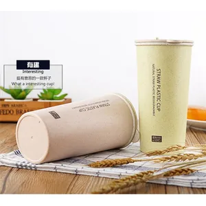 Image of Wholesale Double Wall Biodegradable Coffee Tea Mug Bottle with Lid