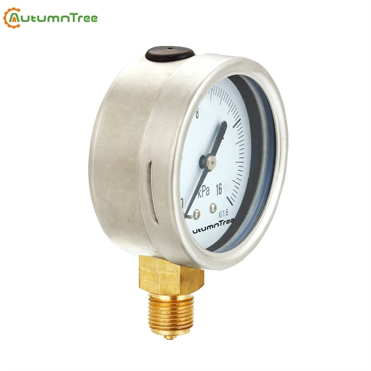 1.6 100mm 1000mbar Liquid Natural Gas Pressure Gauge Buy Natural Gas