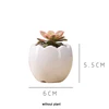Wholesale mini small cute Oval egg shape white planter ceramic succulents pots flower pots