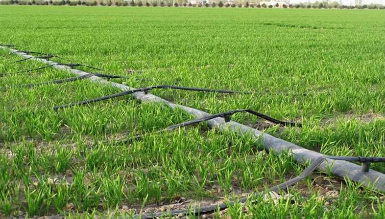 农业滴灌灌溉带种植绿色自动滴灌使用喷雾胶带雨带