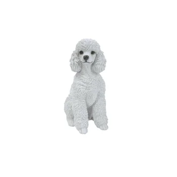 20+ Anjing toy poodle putih information