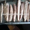 frozen pre-cooked bonito tuna loin for canning